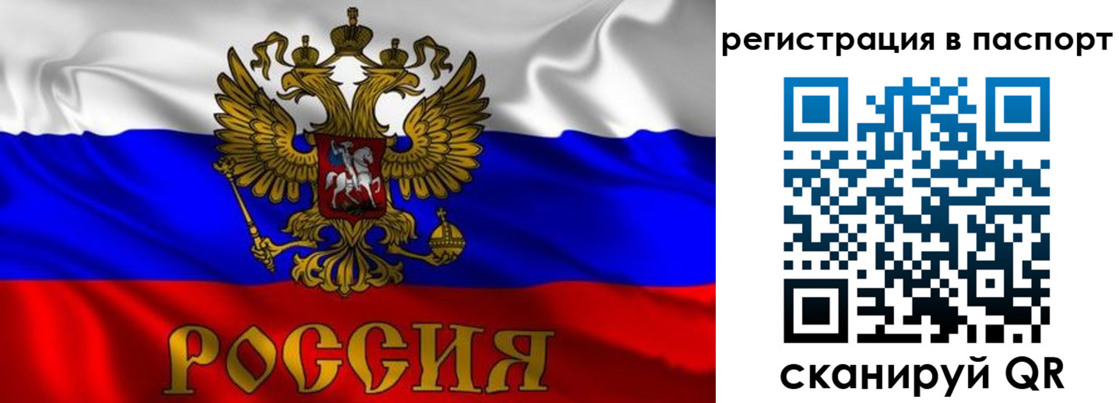 найти адрес прописки в Ивантеевке